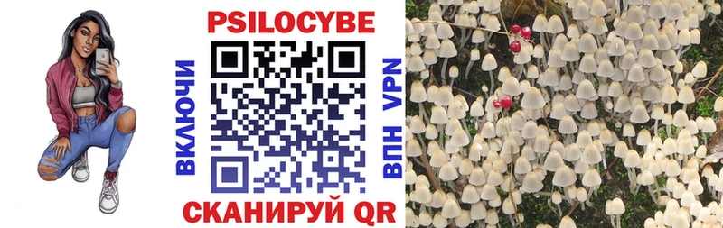 Галлюциногенные грибы Psilocybe цена Нолинск