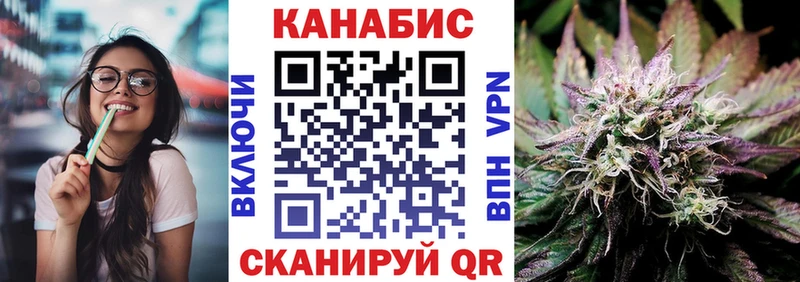 Канабис гибрид  Нолинск 